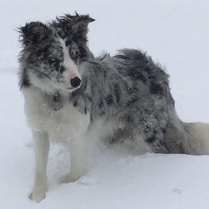 Meet your Posher, Julie